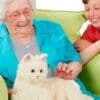 Katten Molly sammen med ældre dame og dreng