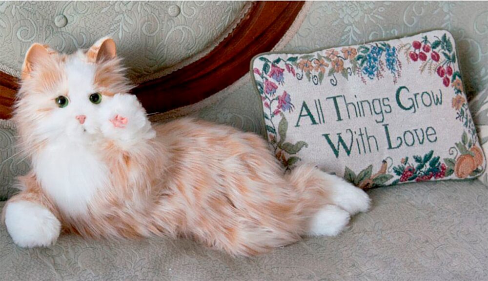 Katten Molly i orange sammen med sofapude