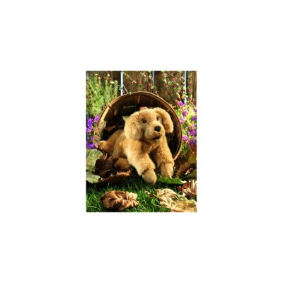Golden Retriever demenshund