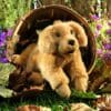 Golden Retriever demenshund