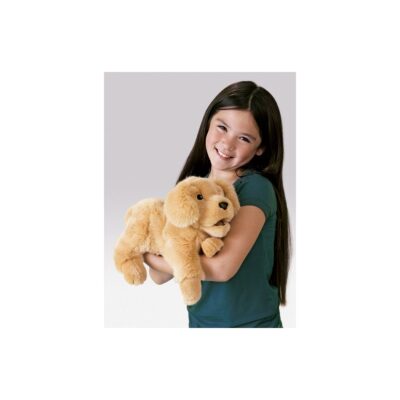 Golden retriever demenshund
