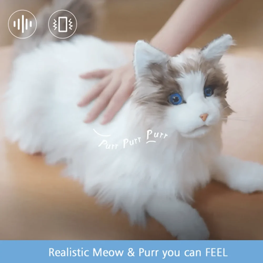 Katten Carlo - Interaktiv selskabskat