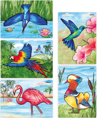 Aquapaint er malerier til demente - motiv er smukke fugle